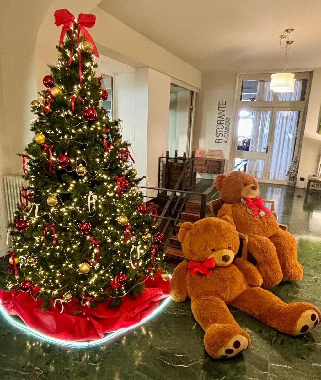 Albero di Natale all'ingresso del Ristorante al Caminone