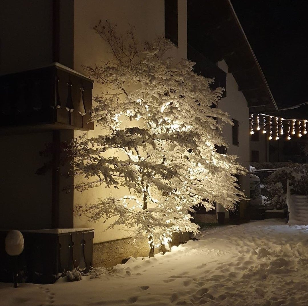 Lo Chalet nella neve con l'albero illuminato